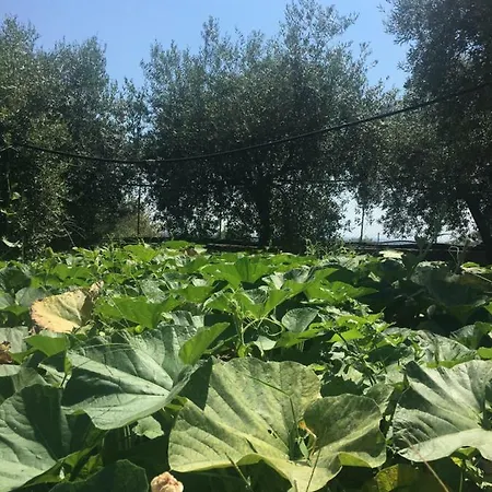 Siracusa Rusticana Vakantiehuis