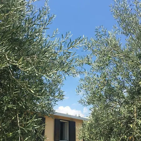Siracusa Rusticana *